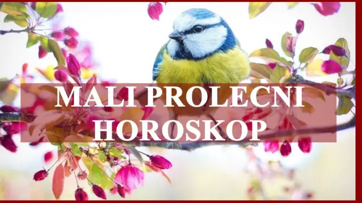 Horoskop za prolece:Evo kome ce naredni period biti prosto caroban!