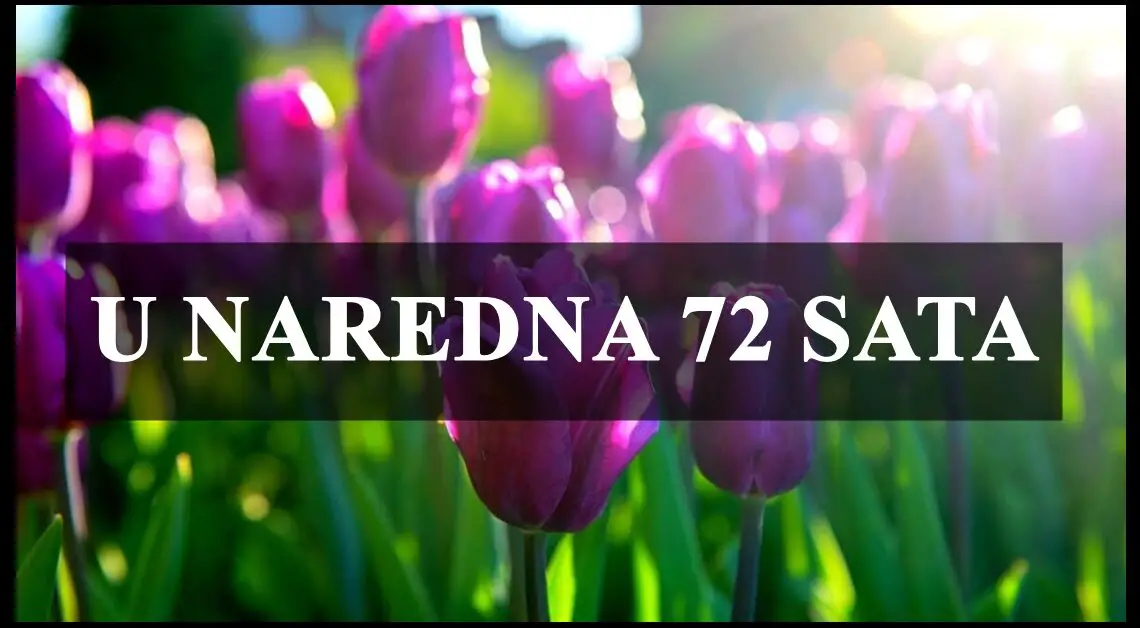 U naredna 72 sata Bika će pogledati sreća….