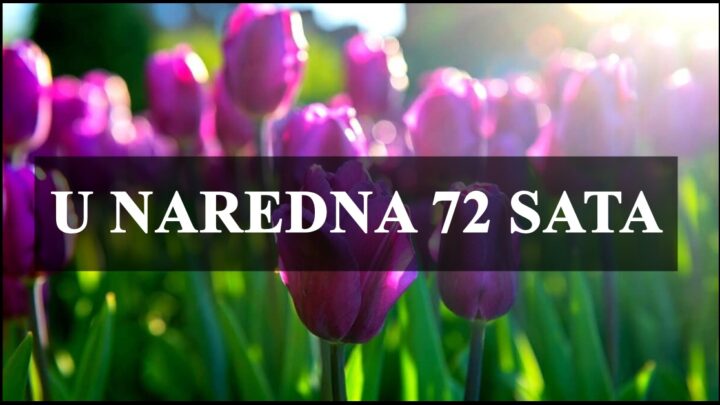 U naredna 72 sata Bika će pogledati sreća….