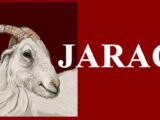 Jarac