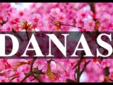 Danas