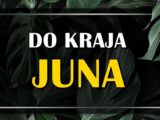 Do kraja juna