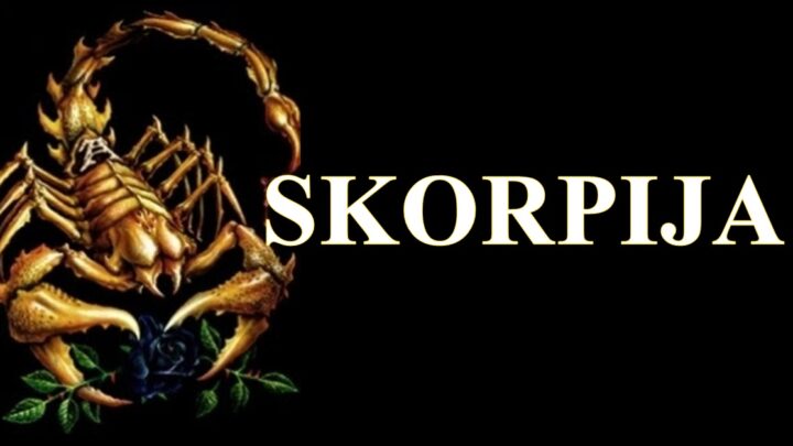 Skorpija-tajnovit zodijak sa kojim ce vam biti prelepo ako zasluzite njegovu ljubav!