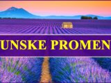 JUNSKE PROEMENE