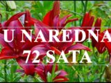 U naredna