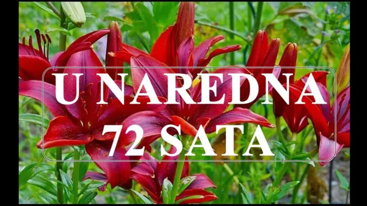 U naredna  72 sata Ovnovima se desava nesto znacajno !