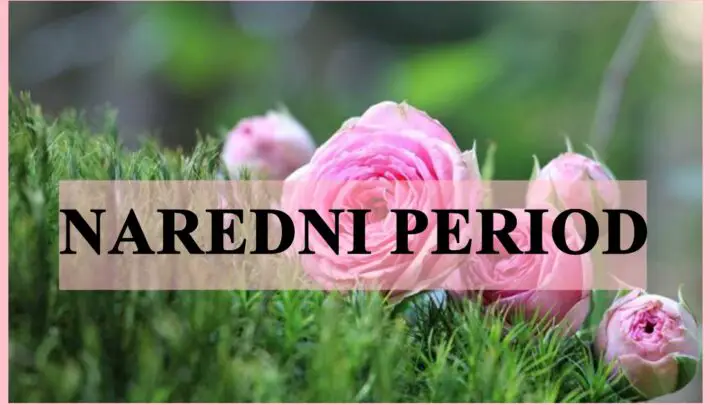 Naredni period donosi promene, nekome ce biti srce slomljeno,a nekoga ceka sudbinski susret!
