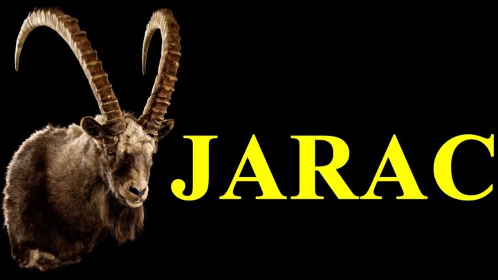 Jarac iskren odlucan covjek koji ne podnosi lazi ni licimjerstvo!