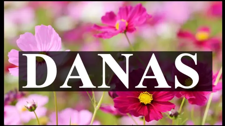 Danas neki znaci dobijaju ono sto odavno zele !