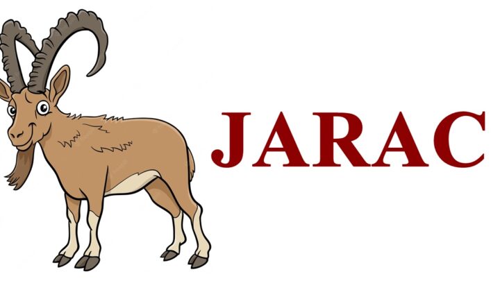 Jarac ne zeli nikome zlo, ali izdaju i prevaru i tekako vrati , samo sve servira hladno.