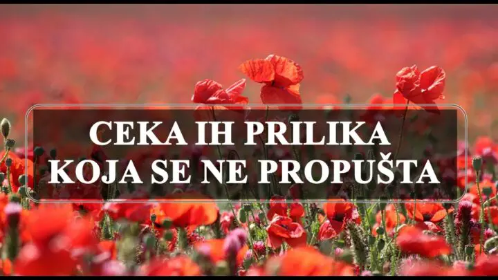 ČEKA IH PRILIKA KOJA SE NE PROPUŠTA: Ove znakove će POGLEDATI SREĆA!
