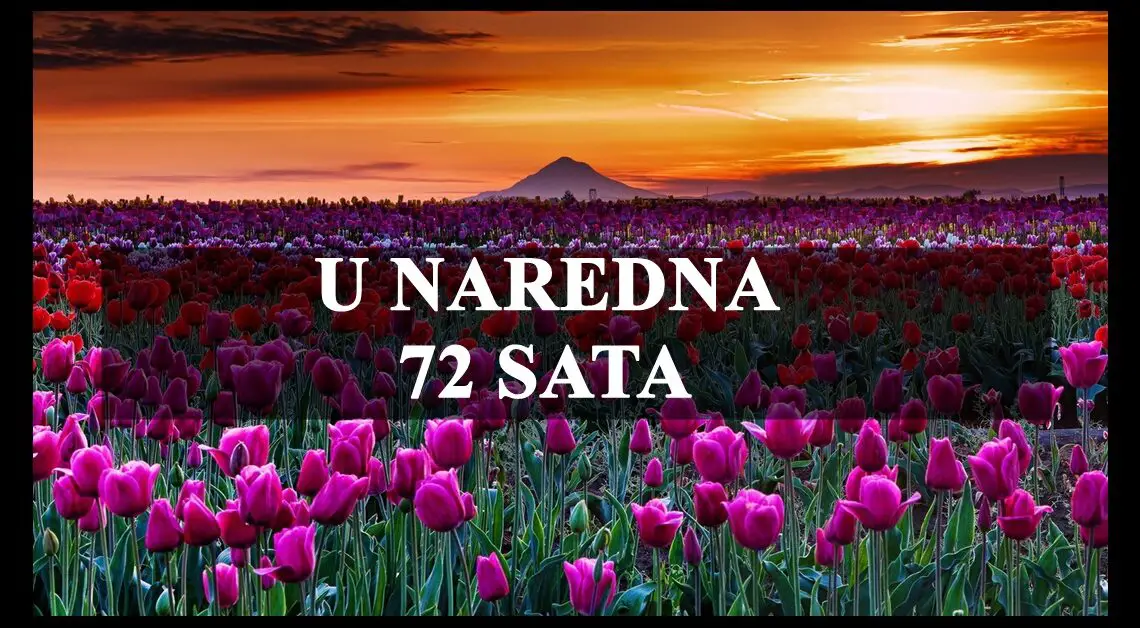 U naredna 72 sata Ovnovi potpuno nesigurni u ono sto zele,a Vagama dolaze lepsi dani.