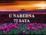 U naredna