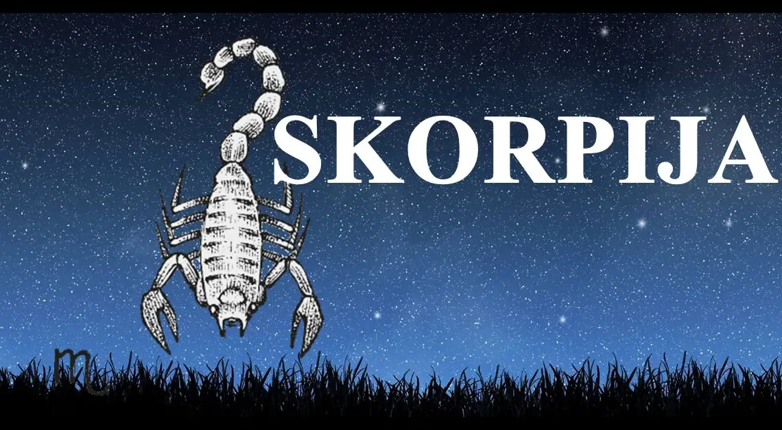 Skorpija je znak koji je poznat po svojoj intenzivnosti i strasti.Evo sta vas ocekuje do kraja godine.