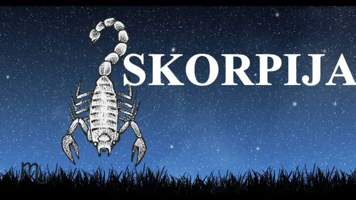 Skorpija je znak koji je poznat po svojoj intenzivnosti i strasti.Evo sta vas ocekuje do kraja godine.