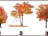 Jesenje drvo