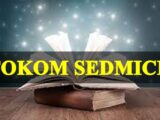 Tokom nove sedmice