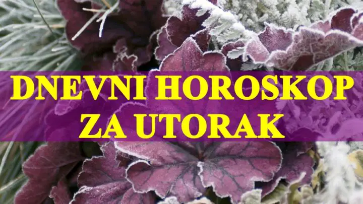 Dnevni horoskop za utorak ,Vaga pronalazi svoju ravnotezu ….