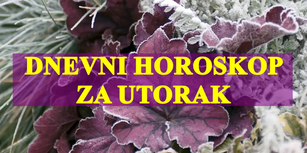 Dnevni horoskop za utorak ,Vaga pronalazi svoju ravnotezu ….