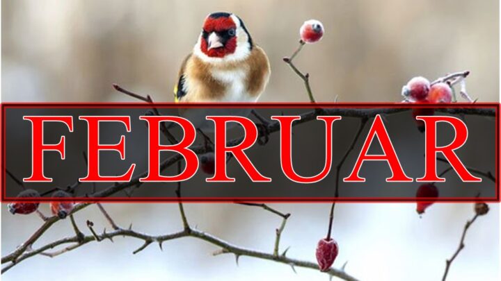Mesecni horoskop za Februar,ocekujete promene na koje morate biti spremni!
