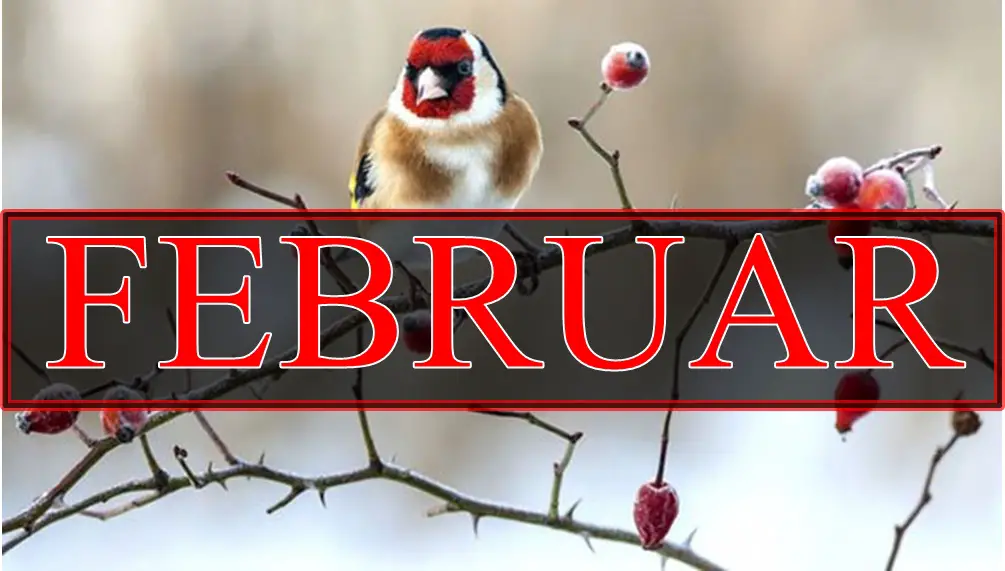 Mesecni horoskop za Februar,ocekujete promene na koje morate biti spremni!