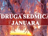 Druga sedmica januara