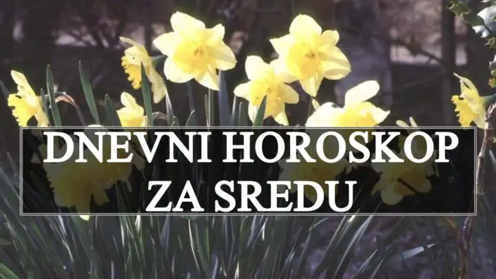DNEVNI HOROSKOP za SREDU : Ovog znaka ocekuje NESTVARAN dan koji ce mu doneti nesto sto odavno ceka!