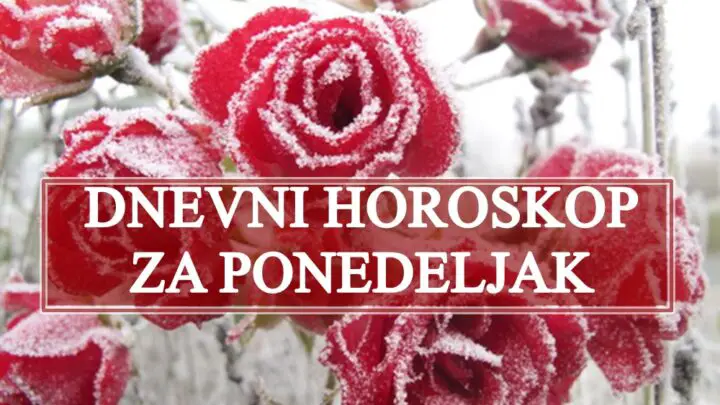 Dnevni horoskop za ponedeljak, Bikovi odlican dan za vas Lavovi manje nesuglasice.