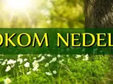 Tokom nedelje