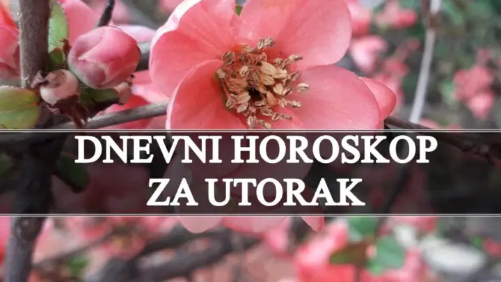 Dnevni horoskop za utorak, jedan znak dobija veoma vaznu vest !