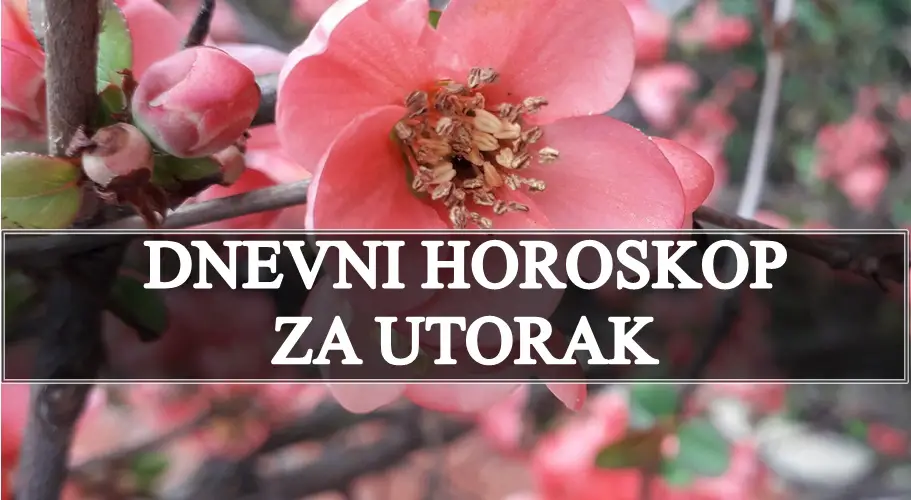 Dnevni Horoskop Za Utorak Jedan Znak Dobija Veoma Vaznu Vest