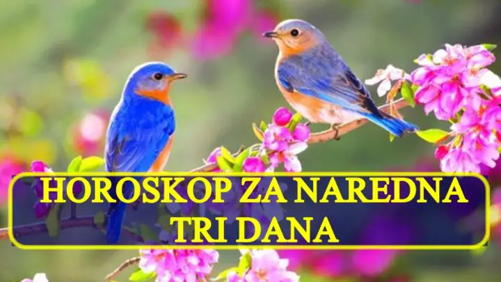 Tokom naredna tri dana Vage posvecene partneru , a Jarci porodici.