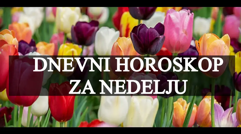 Dnevni horoskop za nedelju :Jedan znak mora da slusa razum!