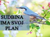 SUDBINA IM SPREMA NESTO VEOMA BITNO: Ove znakove ocekuju