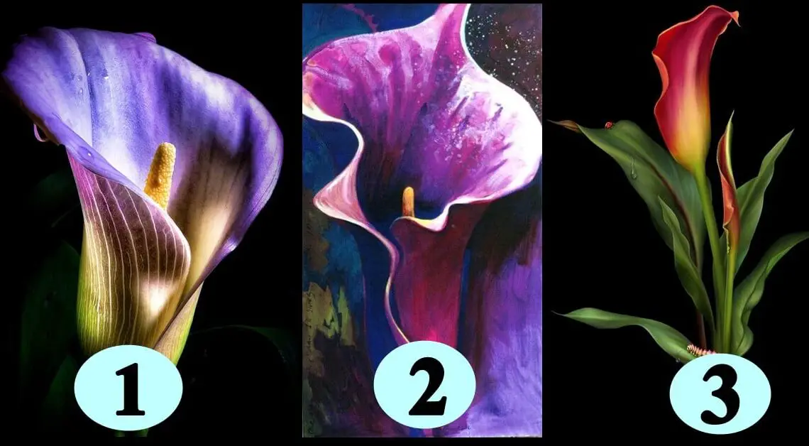 Test licnosti:Izaberi cvet i saznaj istinu o tome kakva je tvoja dusa!
