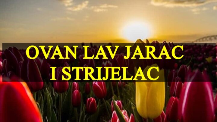 Ovan Jarac Lav i Strijelac u narednih deset dana , zdravlje ljubav i posao !