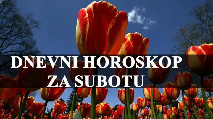 Dnevni horoskop za subotu,Bik ima potrebu za mirom a Lav veoma kreativan !