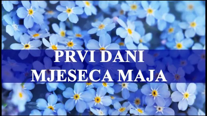 Prvi dani maja donose Jarcu stabilnost i sigurnost, on je uporan i radi na svojoj buducnosti.