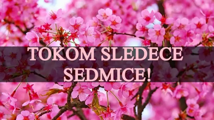 Tokom sledece sedmice dolazi do promena koje niko nije ocekivao!