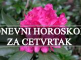 Dnevni horoskop za cetvrtak evo sta vas to ceka tokom ovog dana !