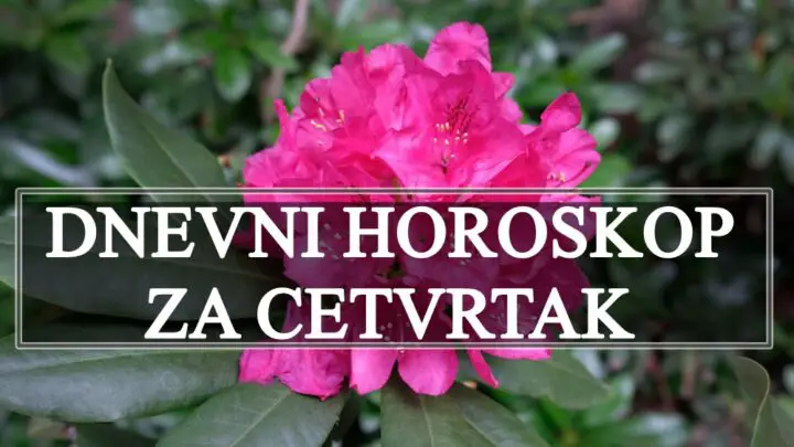 Dnevni horoskop za cetvrtak evo sta vas to ceka tokom ovog dana !