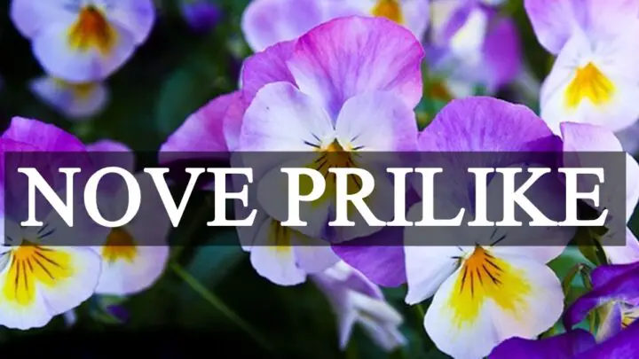 Nove prilike cekaju Ovna Bika Lava Skorpiju i Raka !