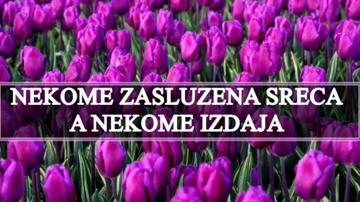 NEKIM ZNACIMA STIZE ZASLUZENA SRECA A NEKIM VELIKA IZDAJA!