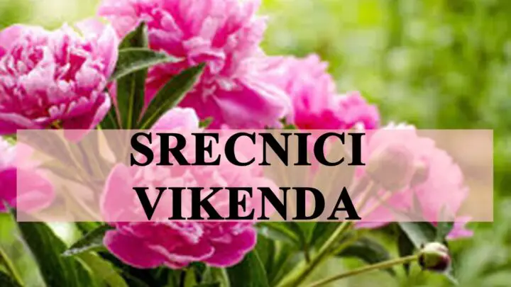 Oni jednostavno sijaju ovog vikenda , parvi su srecnici.