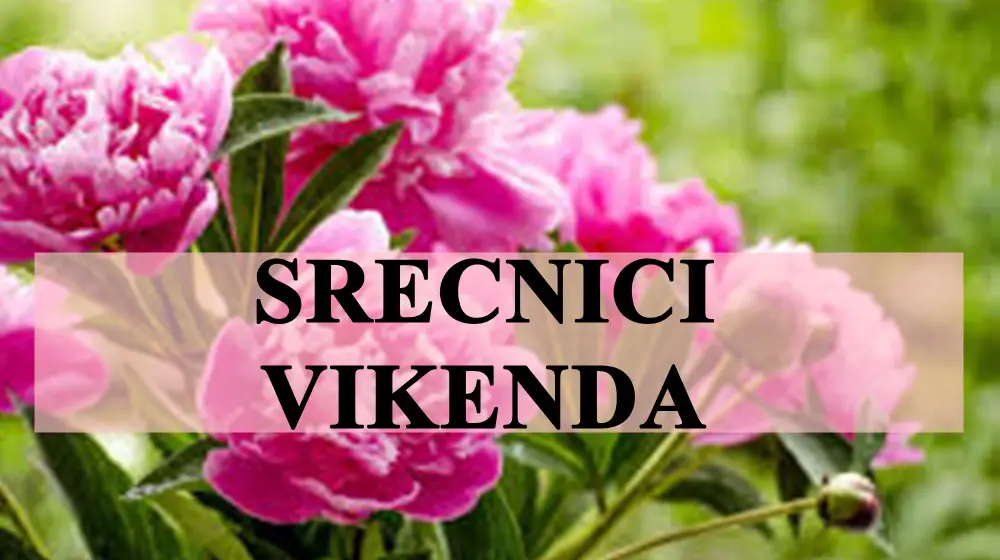 Oni jednostavno sijaju ovog vikenda , parvi su srecnici. Oni jednostavno sijaju ovog vikenda , parvi su srecnici.