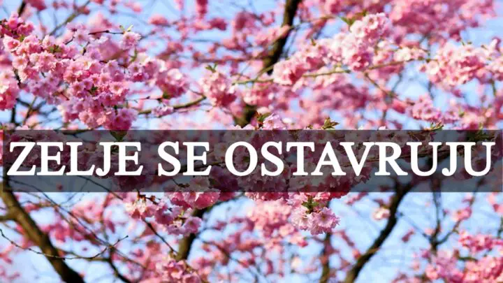 Ovim znakovima se sve zelje ostavruju u bliskoj buducnosti.