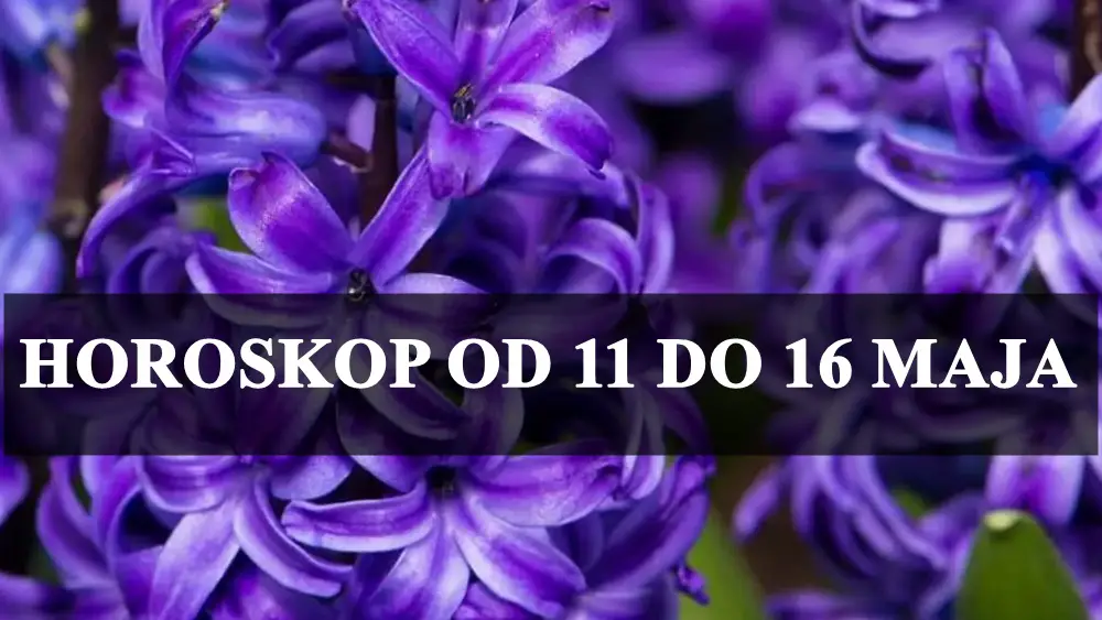 Opsiran horoskop od 11 do 16 maja za sve znakove zodijaka !