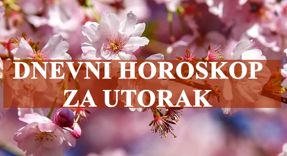 Dnevni horoskop za utorak, Rak se oseca emotivno podrzan a Blizancu je potreban otvoren razgovor ! Dnevni horoskop za utorak, Rak se oseca emotivno podrzan a Blizancu je potreban otvoren razgovor !