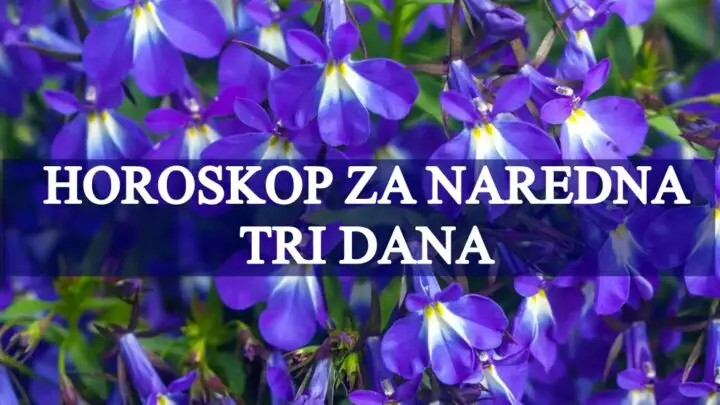Horoskop za naredna tri dana Bikovi i Rakovi manji problemi vam slede.