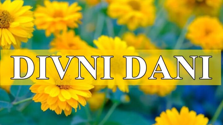 Divni dani za Ovnove, Vodolije, Rakove, Strelčeve, Bikove i Vage!